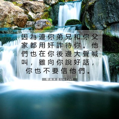 Picture 07 - 耶 利 米 書 12:6 CUVT - 因 為 連 你 弟 兄 和 你 父 家 都 用 - Bible Verse Picture