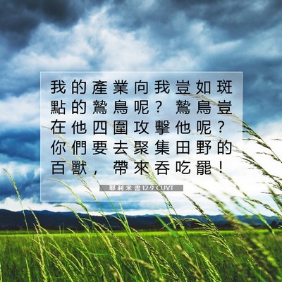Picture 07 - 耶 利 米 書 12:9 CUVT - 我 的 產 業 向 我 豈 如 斑 點 的 鷙 - Bible Verse Picture