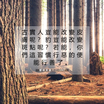 Picture 07 - 耶 利 米 書 13:23 CUVT - 古 實 人 豈 能 改 變 皮 膚 呢 ？ 豹 - Bible Verse Picture