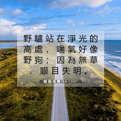 Picture 07 - 耶 利 米 書 14:6 CUVT - 野 驢 站 在 淨 光 的 高 處 ， 喘 氣 - Bible Verse Picture