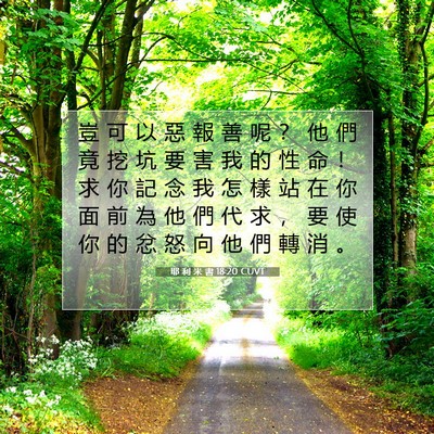 Picture 07 - 耶 利 米 書 18:20 CUVT - 豈 可 以 惡 報 善 呢 ？ 他 們 竟 挖 - Bible Verse Picture