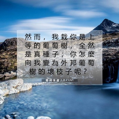 Picture 07 - 耶 利 米 書 2:21 CUVT - 然 而 ， 我 栽 你 是 上 等 的 葡 萄 - Bible Verse Picture