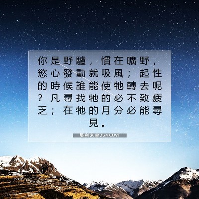 Picture 07 - 耶 利 米 書 2:24 CUVT - 你 是 野 驢 ， 慣 在 曠 野 ， 慾 心 - Bible Verse Picture
