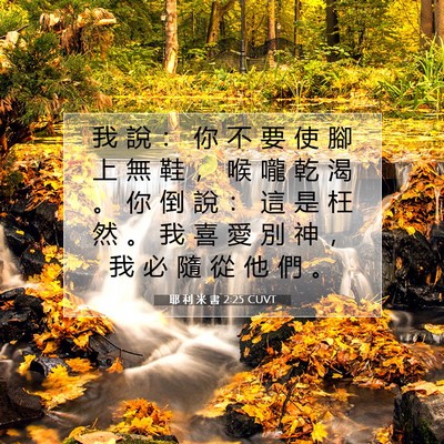 Picture 07 - 耶 利 米 書 2:25 CUVT - 我 說 ： 你 不 要 使 腳 上 無 鞋 ， - Bible Verse Picture