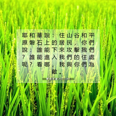 Picture 07 - 耶 利 米 書 21:13 CUVT - 耶 和 華 說 ： 住 山 谷 和 平 原 磐 - Bible Verse Picture