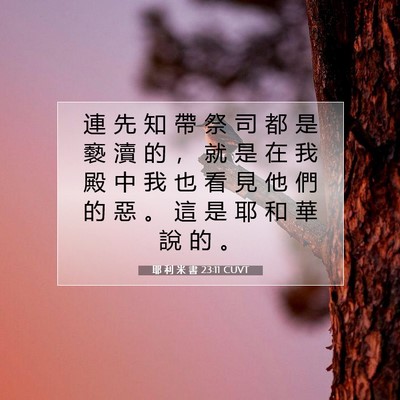 Picture 07 - 耶 利 米 書 23:11 CUVT - 連 先 知 帶 祭 司 都 是 褻 瀆 的 ， - Bible Verse Picture