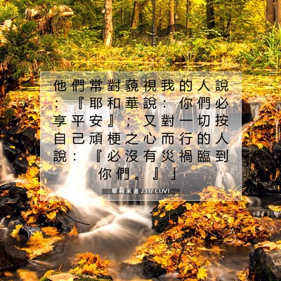 Picture 07 - 耶 利 米 書 23:17 CUVT - 他 們 常 對 藐 視 我 的 人 說 ： 『 - Bible Verse Picture
