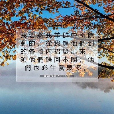 Picture 07 - 耶 利 米 書 23:3 CUVT - 我 要 將 我 羊 群 中 所 餘 剩 的 ， - Bible Verse Picture