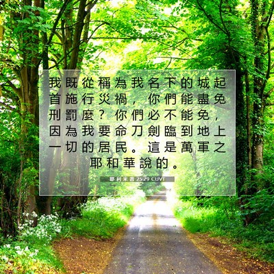 Picture 07 - 耶 利 米 書 25:29 CUVT - 我 既 從 稱 為 我 名 下 的 城 起 首 - Bible Verse Picture
