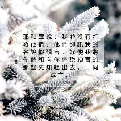 Picture 07 - 耶 利 米 書 27:15 CUVT - 耶 和 華 說 ： 我 並 沒 有 打 發 他 - Bible Verse Picture
