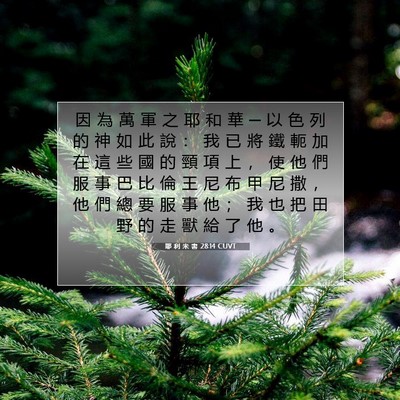 Picture 07 - 耶 利 米 書 28:14 CUVT - 因 為 萬 軍 之 耶 和 華 ─ 以 色 列 - Bible Verse Picture