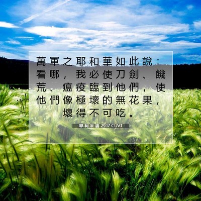 Picture 07 - 耶 利 米 書 29:17 CUVT - 萬 軍 之 耶 和 華 如 此 說 ： 看 哪 - Bible Verse Picture