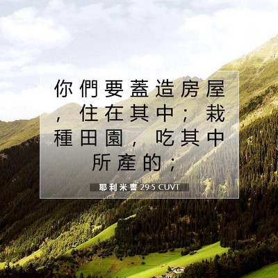 Picture 07 - 耶 利 米 書 29:5 CUVT - 你 們 要 蓋 造 房 屋 ， 住 在 其 中 - Bible Verse Picture
