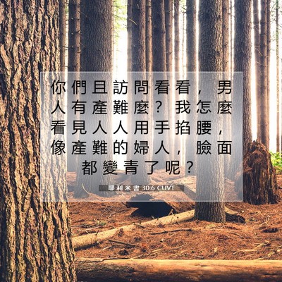 Picture 07 - 耶 利 米 書 30:6 CUVT - 你 們 且 訪 問 看 看 ， 男 人 有 產 - Bible Verse Picture