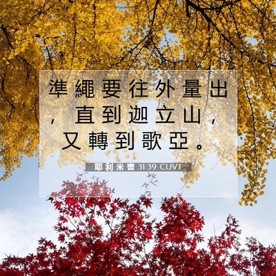 Picture 07 - 耶 利 米 書 31:39 CUVT - 準 繩 要 往 外 量 出 ， 直 到 迦 立 - Bible Verse Picture