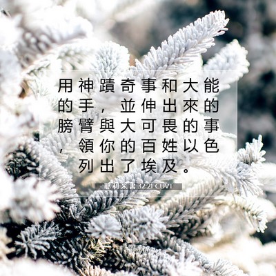 Picture 07 - 耶 利 米 書 32:21 CUVT - 用 神 蹟 奇 事 和 大 能 的 手 ， 並 - Bible Verse Picture
