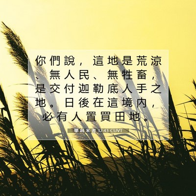 Picture 07 - 耶 利 米 書 32:43 CUVT - 你 們 說 ， 這 地 是 荒 涼 、 無 人 - Bible Verse Picture