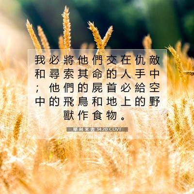 Picture 07 - 耶 利 米 書 34:20 CUVT - 我 必 將 他 們 交 在 仇 敵 和 尋 索 - Bible Verse Picture