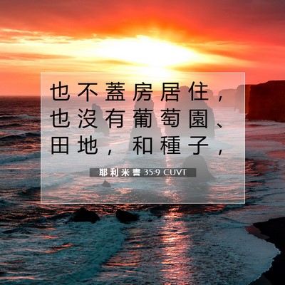 Picture 07 - 耶 利 米 書 35:9 CUVT - 也 不 蓋 房 居 住 ， 也 沒 有 葡 萄 - Bible Verse Picture