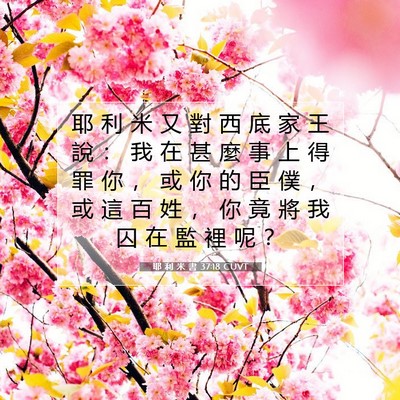 Picture 07 - 耶 利 米 書 37:18 CUVT - 耶 利 米 又 對 西 底 家 王 說 ： 我 - Bible Verse Picture