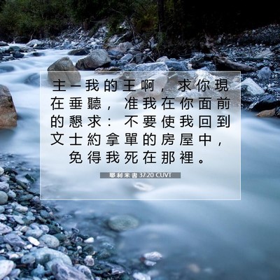 Picture 07 - 耶 利 米 書 37:20 CUVT - 主 ─ 我 的 王 啊 ， 求 你 現 在 垂 - Bible Verse Picture