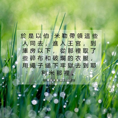 Picture 07 - 耶 利 米 書 38:11 CUVT - 於 是 以 伯 • 米 勒 帶 領 這 些 人 - Bible Verse Picture