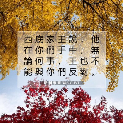 Picture 07 - 耶 利 米 書 38:5 CUVT - 西 底 家 王 說 ： 他 在 你 們 手 中 - Bible Verse Picture