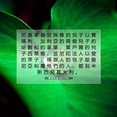 Picture 07 - 耶 利 米 書 40:8 CUVT - 於 是 軍 長 尼 探 雅 的 兒 子 以 實 - Bible Verse Picture