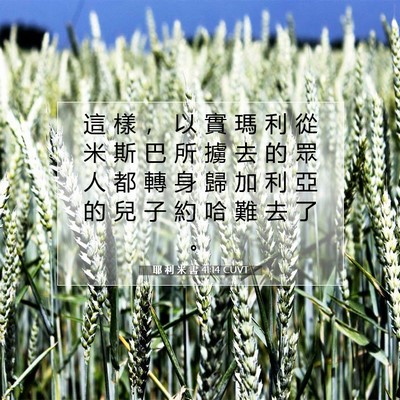 Picture 07 - 耶 利 米 書 41:14 CUVT - 這 樣 ， 以 實 瑪 利 從 米 斯 巴 所 - Bible Verse Picture