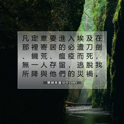 Picture 07 - 耶 利 米 書 42:17 CUVT - 凡 定 意 要 進 入 埃 及 在 那 裡 寄 - Bible Verse Picture