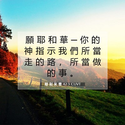 Picture 07 - 耶 利 米 書 42:3 CUVT - 願 耶 和 華 ─ 你 的 神 指 示 我 們 - Bible Verse Picture