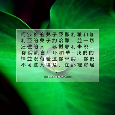 Picture 07 - 耶 利 米 書 43:2 CUVT - 何 沙 雅 的 兒 子 亞 撒 利 雅 和 加 - Bible Verse Picture