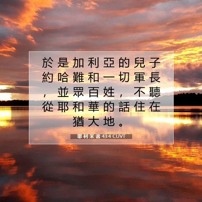 Picture 07 - 耶 利 米 書 43:4 CUVT - 於 是 加 利 亞 的 兒 子 約 哈 難 和 - Bible Verse Picture