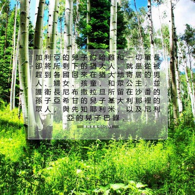 Picture 07 - 耶 利 米 書 43:5 CUVT - 加 利 亞 的 兒 子 約 哈 難 和 一 切 - Bible Verse Picture