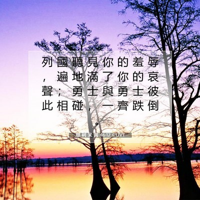 Picture 07 - 耶 利 米 書 46:12 CUVT - 列 國 聽 見 你 的 羞 辱 ， 遍 地 滿 - Bible Verse Picture