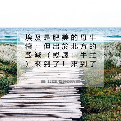 Picture 07 - 耶 利 米 書 46:20 CUVT - 埃 及 是 肥 美 的 母 牛 犢 ； 但 出 - Bible Verse Picture