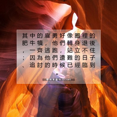 Picture 07 - 耶 利 米 書 46:21 CUVT - 其 中 的 雇 勇 好 像 圈 裡 的 肥 牛 - Bible Verse Picture