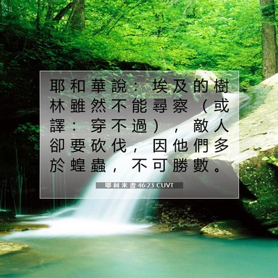 Picture 07 - 耶 利 米 書 46:23 CUVT - 耶 和 華 說 ： 埃 及 的 樹 林 雖 然 - Bible Verse Picture