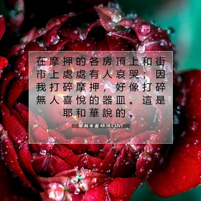 Picture 07 - 耶 利 米 書 48:38 CUVT - 在 摩 押 的 各 房 頂 上 和 街 市 上 - Bible Verse Picture
