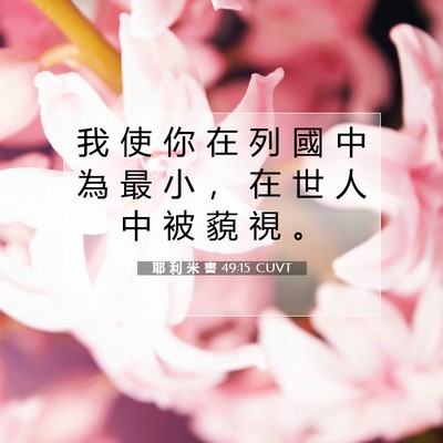 Picture 07 - 耶 利 米 書 49:15 CUVT - 我 使 你 在 列 國 中 為 最 小 ， 在 - Bible Verse Picture