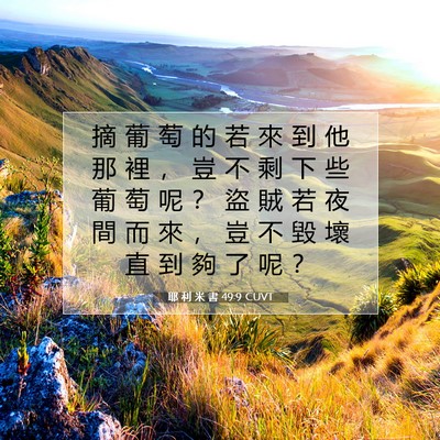 Picture 07 - 耶 利 米 書 49:9 CUVT - 摘 葡 萄 的 若 來 到 他 那 裡 ， 豈 - Bible Verse Picture
