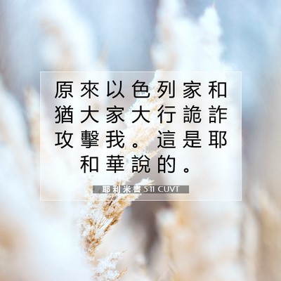 Picture 07 - 耶 利 米 書 5:11 CUVT - 原 來 以 色 列 家 和 猶 大 家 大 行 - Bible Verse Picture