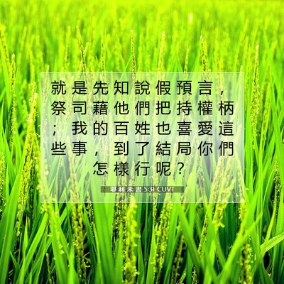 Picture 07 - 耶 利 米 書 5:31 CUVT - 就 是 先 知 說 假 預 言 ， 祭 司 藉 - Bible Verse Picture