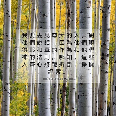 Picture 07 - 耶 利 米 書 5:5 CUVT - 我 要 去 見 尊 大 的 人 ， 對 他 們 - Bible Verse Picture