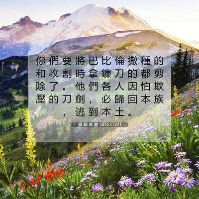 Picture 07 - 耶 利 米 書 50:16 CUVT - 你 們 要 將 巴 比 倫 撒 種 的 和 收 - Bible Verse Picture