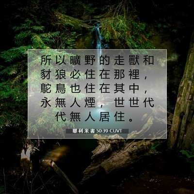 Picture 07 - 耶 利 米 書 50:39 CUVT - 所 以 曠 野 的 走 獸 和 豺 狼 必 住 - Bible Verse Picture