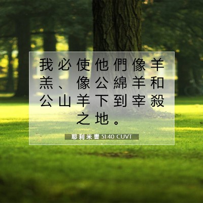 Picture 07 - 耶 利 米 書 51:40 CUVT - 我 必 使 他 們 像 羊 羔 、 像 公 綿 - Bible Verse Picture