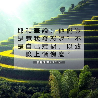 Picture 07 - 耶 利 米 書 7:19 CUVT - 耶 和 華 說 ： 他 們 豈 是 惹 我 發 - Bible Verse Picture