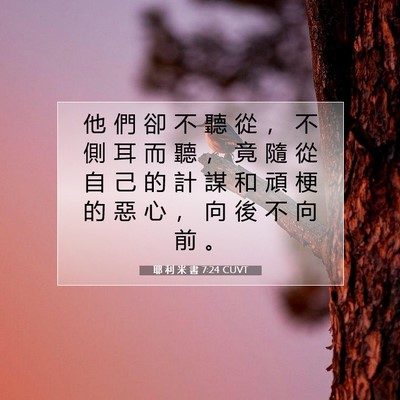 Picture 07 - 耶 利 米 書 7:24 CUVT - 他 們 卻 不 聽 從 ， 不 側 耳 而 聽 - Bible Verse Picture