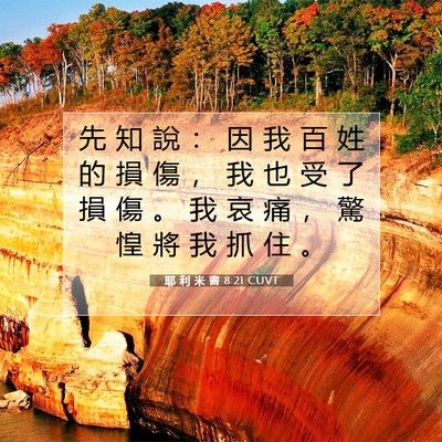 Picture 07 - 耶 利 米 書 8:21 CUVT - 先 知 說 ： 因 我 百 姓 的 損 傷 ， - Bible Verse Picture